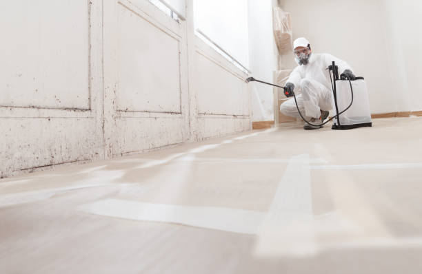 24/7 Emergency Crawl Space Mold Removal experts in Princeton, MN